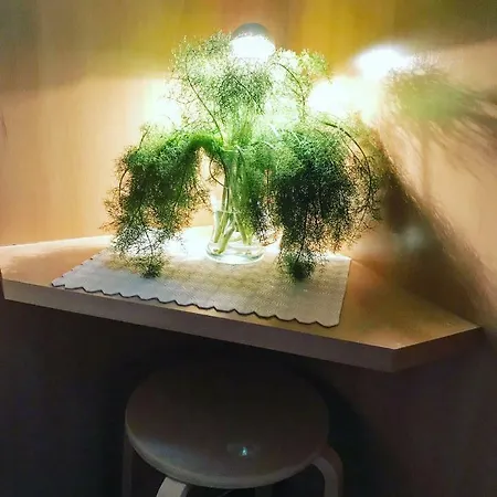 Guest Chiado Appartement *